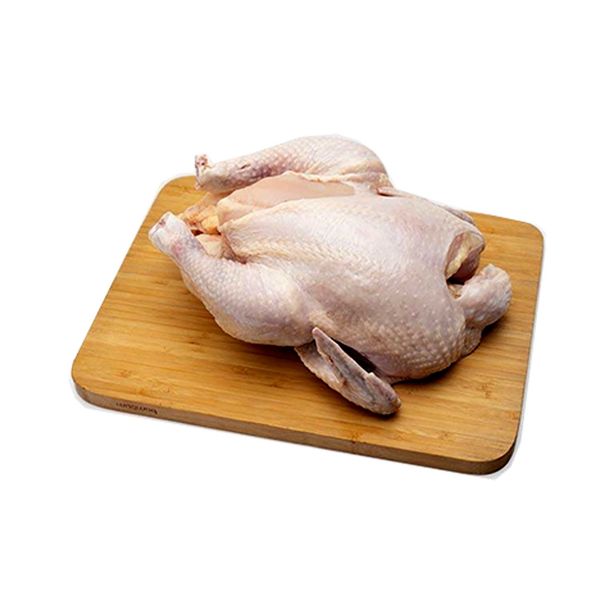 مرغ گرم کوچک فروشگاه